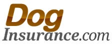 https://www.doginsurance.com